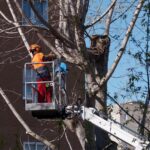 Najem avtokošare za vzdrževanje okolice po Sloveniji