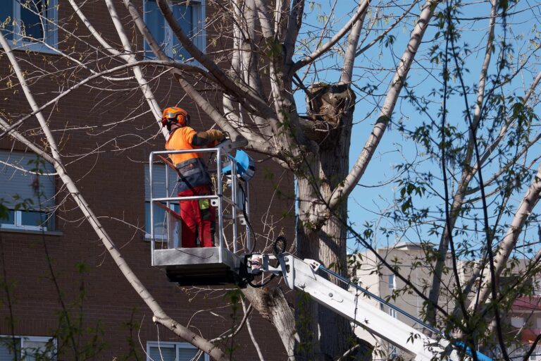 Najem avtokošare za vzdrževanje okolice po Sloveniji